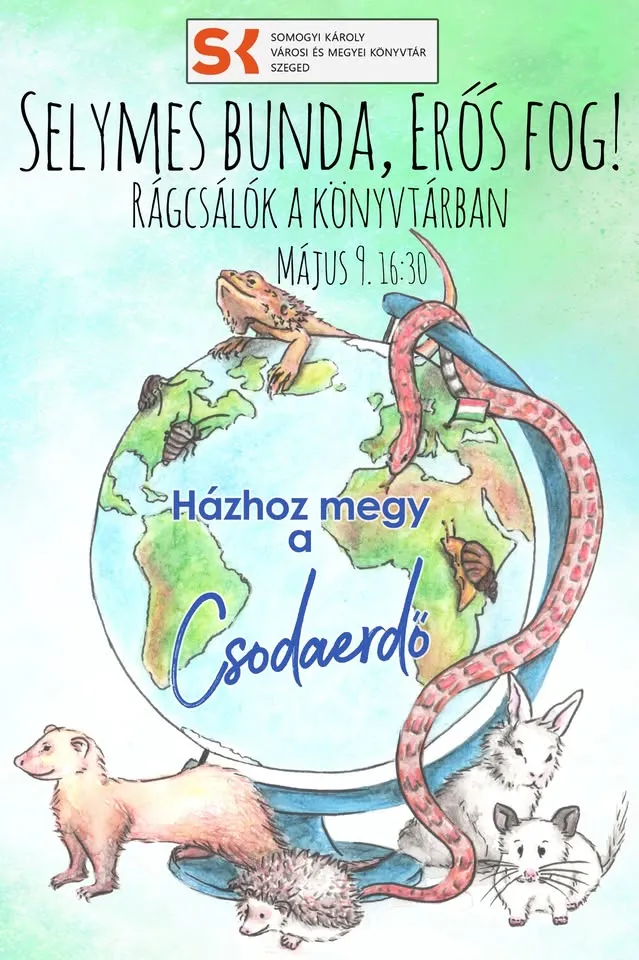 Silky fur, strong tooth!Rags in the library